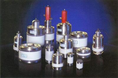 固定真空电容器项目合作商业计划书